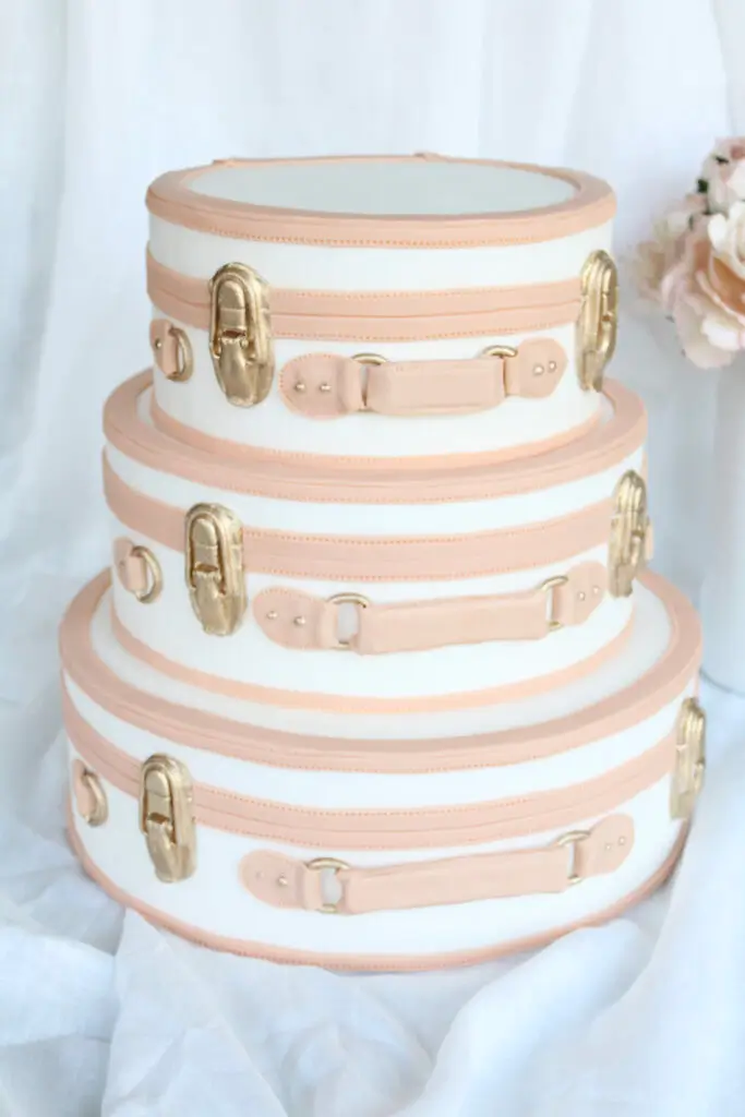 Hers and His: SteamLine Luggage Cakes